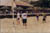 Foto 174: volley